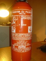 DSC01250.JPG