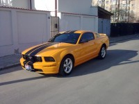21032010141.jpg