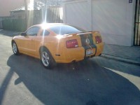 21032010143.jpg