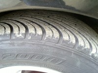 20100304_016.jpg