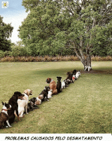 untitled.gif