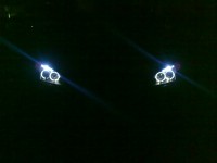 19022010308.jpg