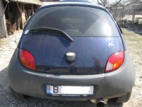 IMG_6700.jpg