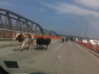 08042010366.jpg