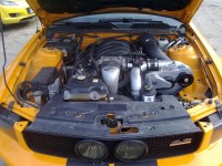08042010116.jpg