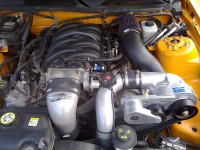 08042010113.jpg