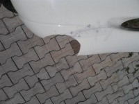 P29-04-10_13-10[1] (Medium).jpg