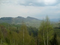 S6302026.JPG