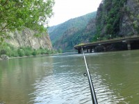 DSC00688 - r.jpg