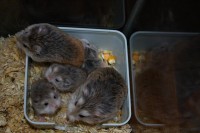 IMG_8644 (Large).jpg