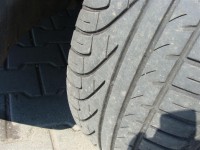 DSC08178 (Large).JPG