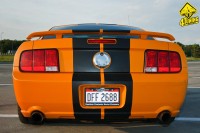 IMG_4675.jpg