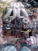 Imagine0637 [800x600].jpg