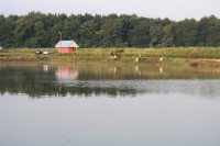 pescuit 006_resize.jpg