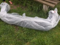 karacsony22,2009 018.jpg