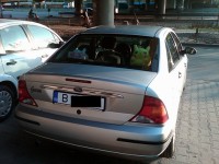 poza anunt 2.jpg