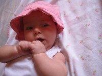 IMG_7597.jpg (70.82 KiB) Vizualizat de 2454 ori IMG_7597.jpg