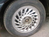 SP_A0598 (Small).jpg