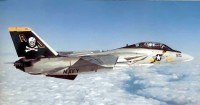 F-14A_Tomcat.jpg