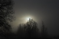 MISTery_1600.jpg