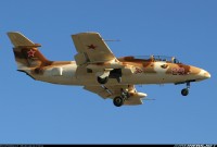 L-29_Delfin_7.jpg