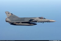 Cheetah_C_2.jpg