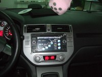 kuga 2.jpg