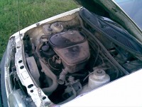 29072010(010).jpg (181.53 KiB) Vizualizat de 106 ori 29072010(010).jpg