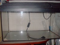 HPIM3116 (940 x 705).jpg