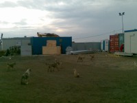 26062010(001).jpg