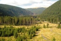DSC01003 - r.jpg