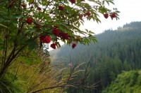 DSC01202 - r.jpg