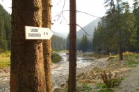 DSC01255 - r.jpg