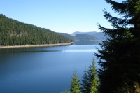 DSC01312 - r.jpg