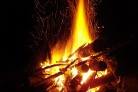DSC01283 - r.jpg