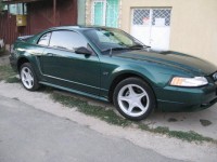 MUSTANG 006.jpg