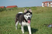 DSC_0269.JPG