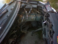 DSC00017.JPG