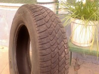 Debica Navigator Profil-.jpg