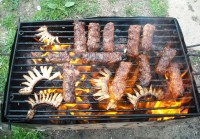 DSCN1350.jpg