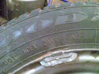 31102010(005) (Large).jpg