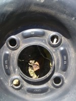 06112010001.jpg (67.57 KiB) Vizualizat de 220 ori 06112010001.jpg