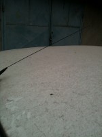 IMG_001222.jpg