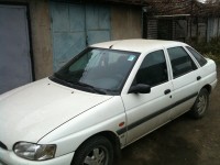 IMG_00152333.jpg