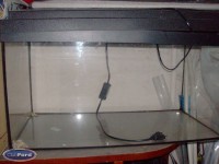 HPIM3116 (940 x 705).jpg