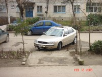 DSC03823.jpg