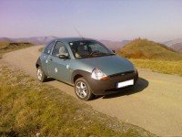 Fotografii-0684- 1.jpg