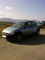 Fotografii-0687 - 1.jpg