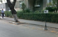 03082010136.jpg