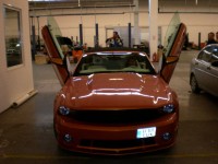 mustang fata.jpg